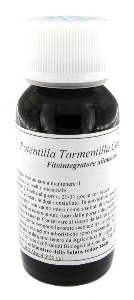 LVS 88C POTENTILLA TORMEN COMP