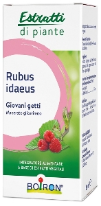 RUBUS IDAEUS BOIRON MG 60ML
