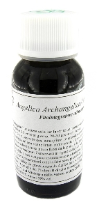 LVS 06N ANGELICA ARCHANGE COMP