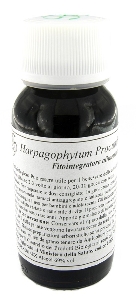 LVS 08N HARPAGOPHYTUM PRO COMP