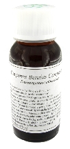 LVS 20N CARPINUS BETULUS COMP