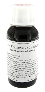 LVS 42S FUCUS VESICULOSUS COMP