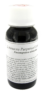 LVS 67S ECHINACEA PURPUREA COM