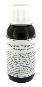 LVS 93C AGROPYRUM REPENS COMP
