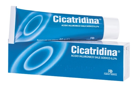 CICATRIDINA POMATA 60G