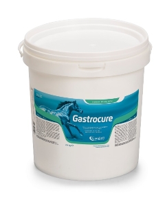 GASTROCURE 2,6KG