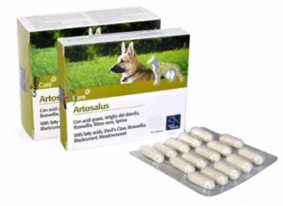 ARTOSALUS ORME NAT 60CPR