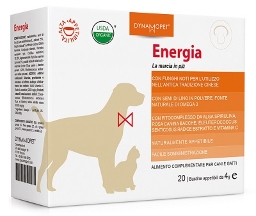 ENERGIA 20BUST 4G