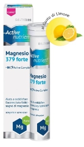 DR. THEISS ACTIVE NUTRIENT MAGNESIO 379 FORTE 20CPR