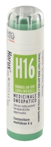 HORUS H16 GR
