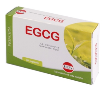 EGCG THE VERDE 30CPS NF